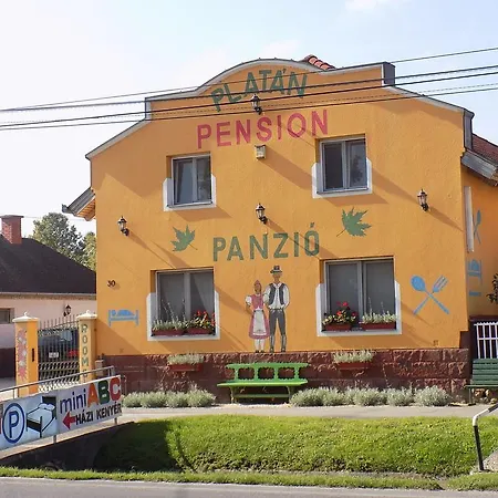 Platan Panzio *